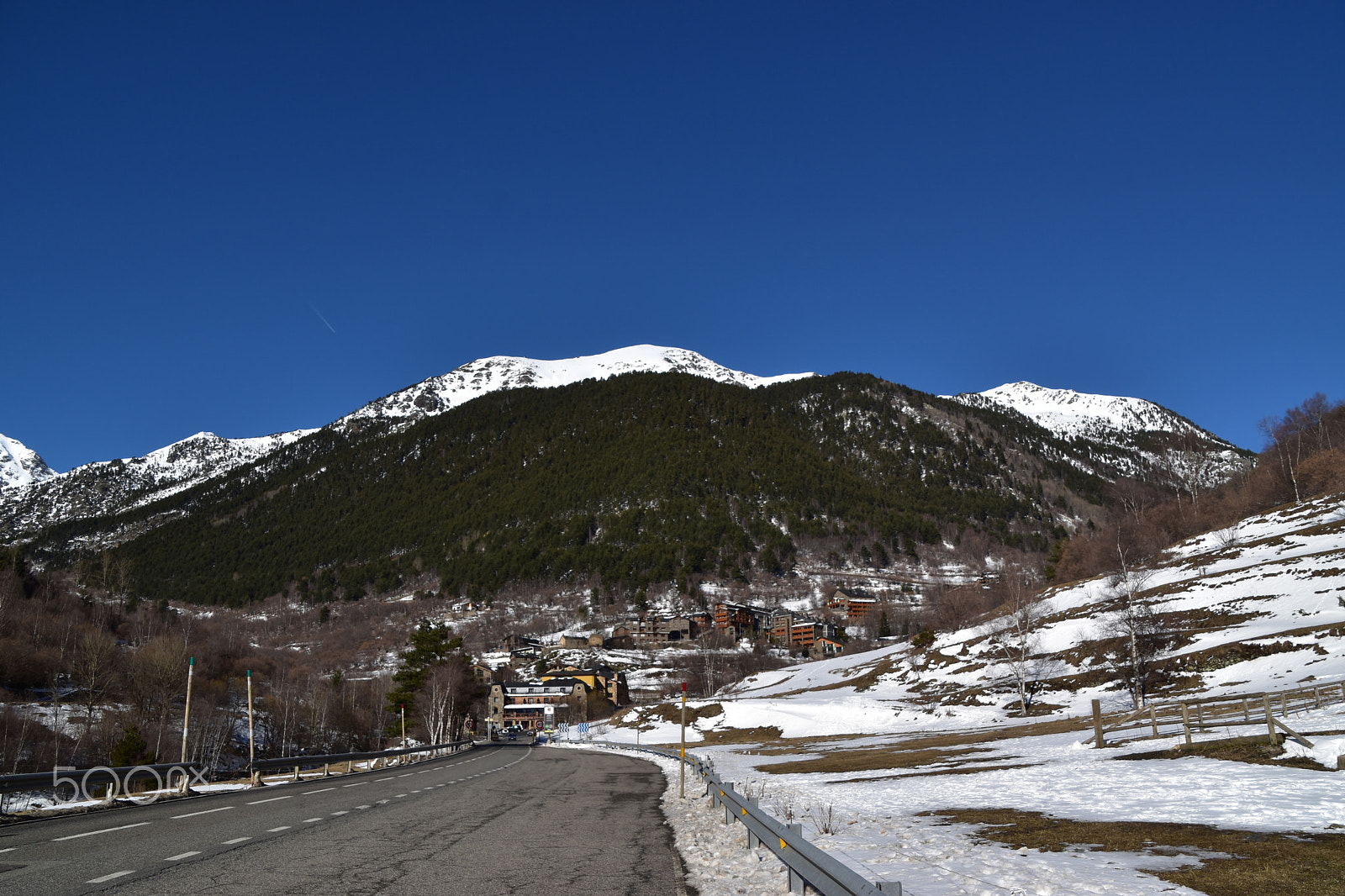 Nikon D5600 sample photo. Dsc photography