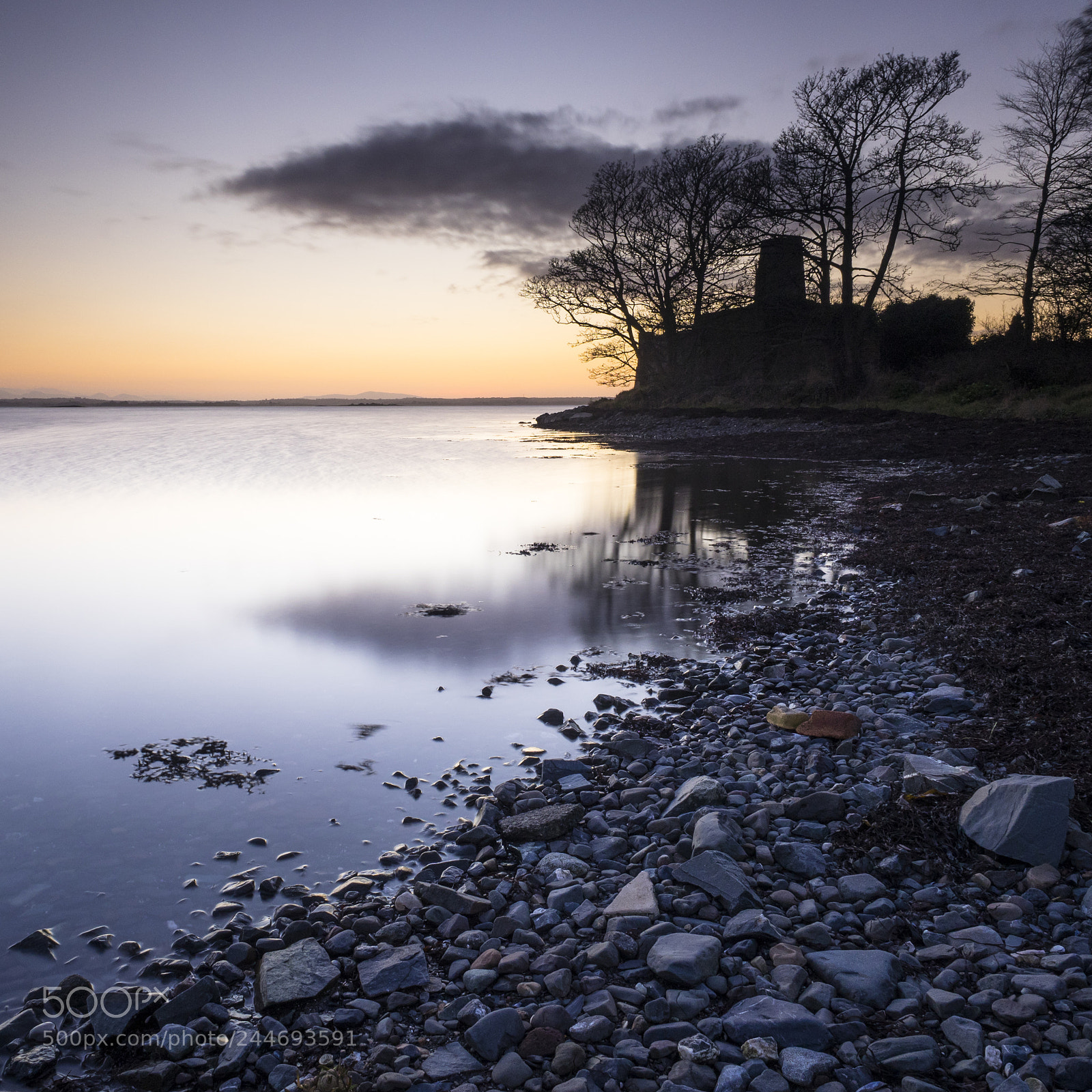 Olympus OM-D E-M1 sample photo. Mount stewart january evening 2 photography