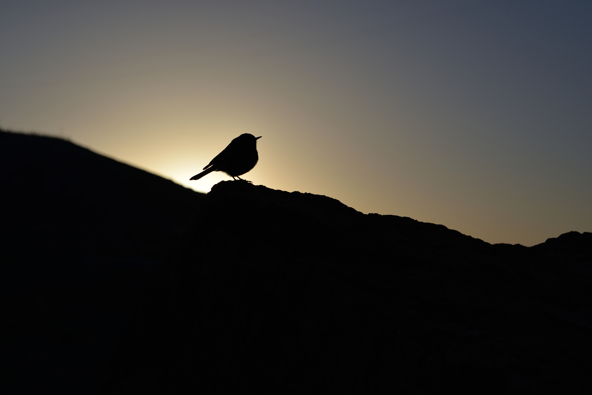 Nikon D610 + Nikon AF-S Nikkor 50mm F1.8G sample photo. Morning photography