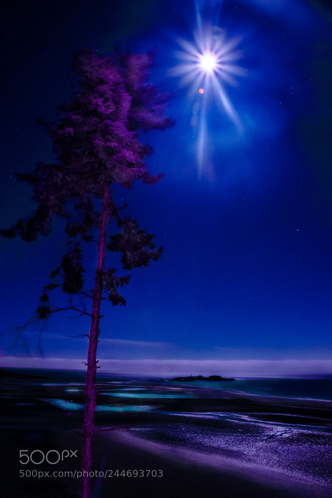 Nikon D7100 sample photo. Beach night photography