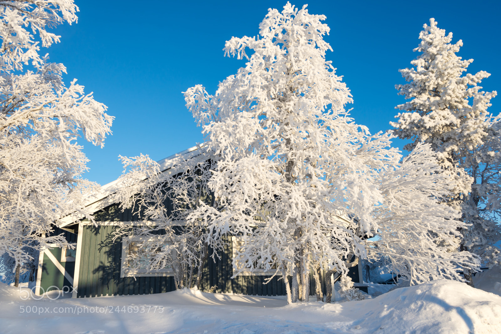 Nikon D600 sample photo. Wooden house and snowy photography