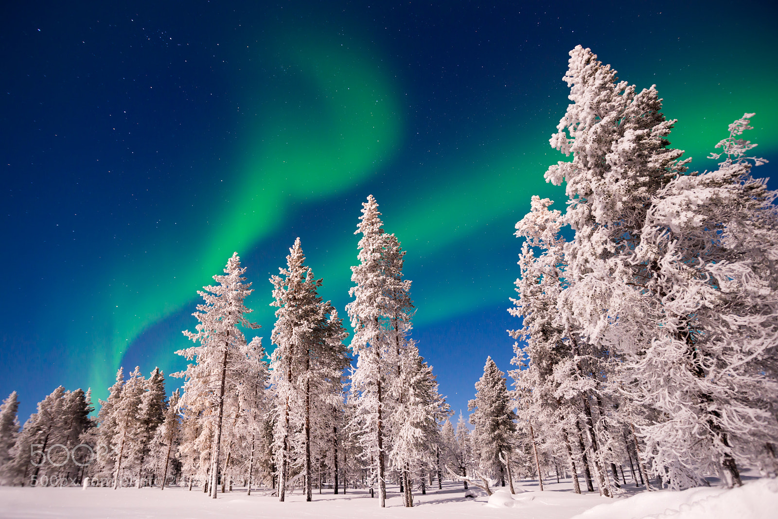 Nikon D600 sample photo. Northern lights, aurora borealis photography
