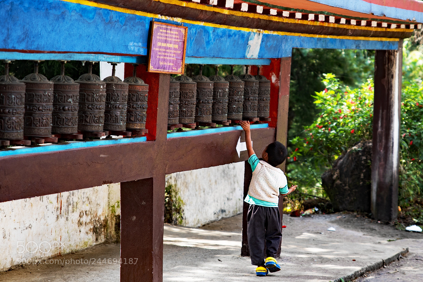 Nikon D500 sample photo. Young monk photography