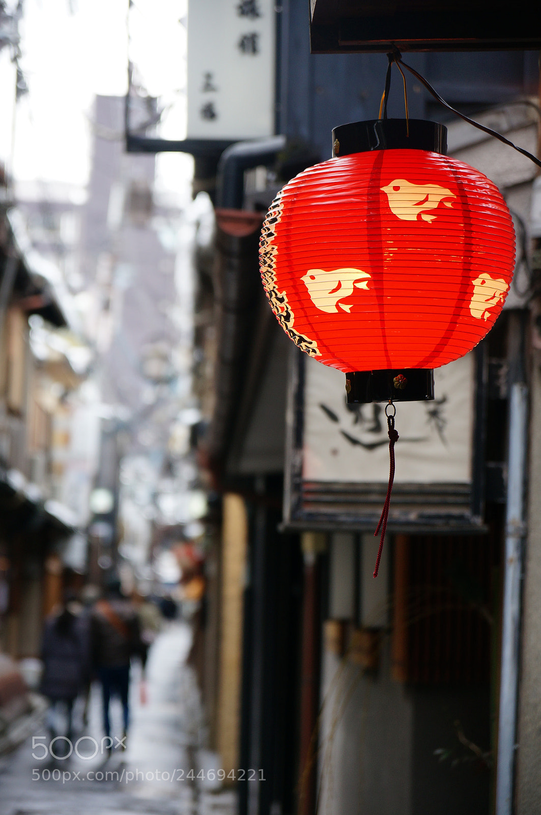 Sony Alpha NEX-6 sample photo. 先斗町 photography