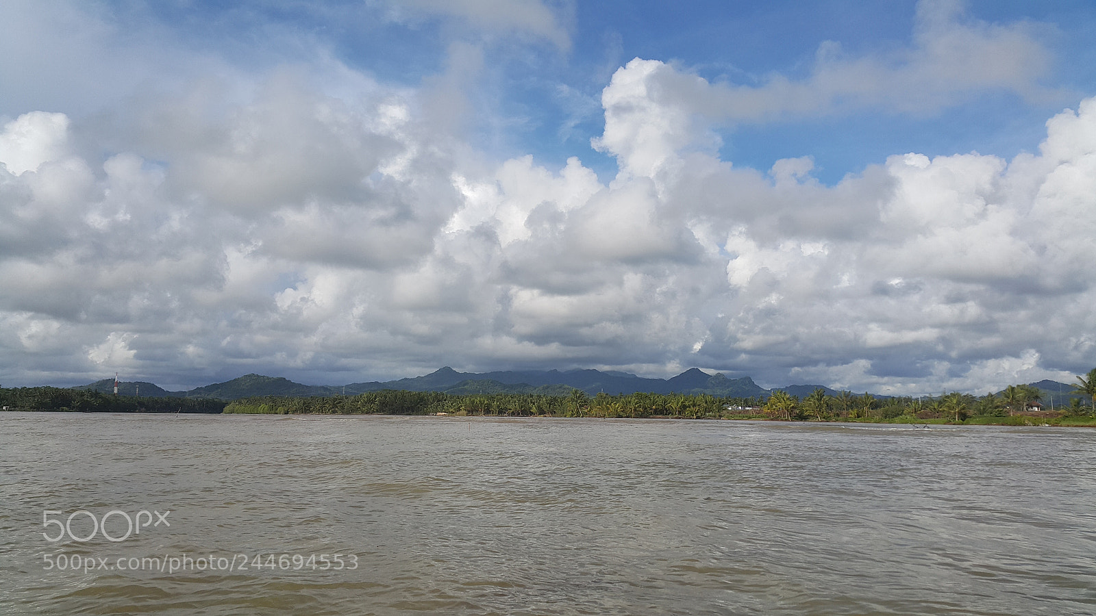 Samsung Galaxy Note4 sample photo. Mangrove forest, bogowonto river photography