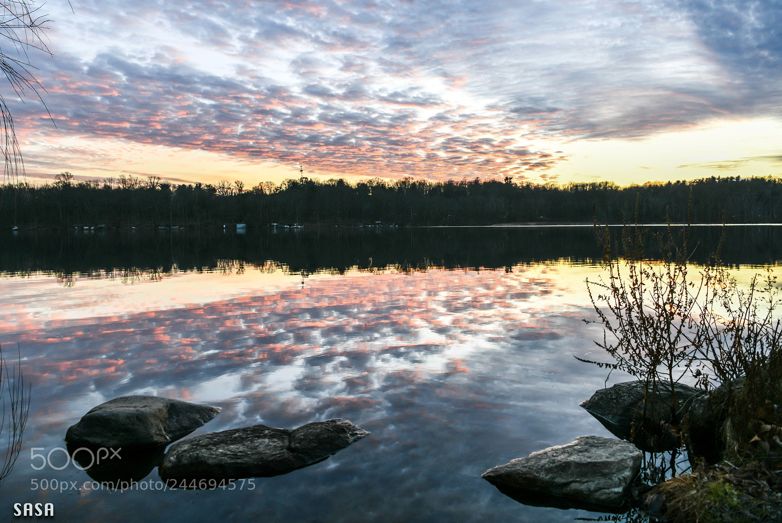Nikon D850 sample photo. Evening photography