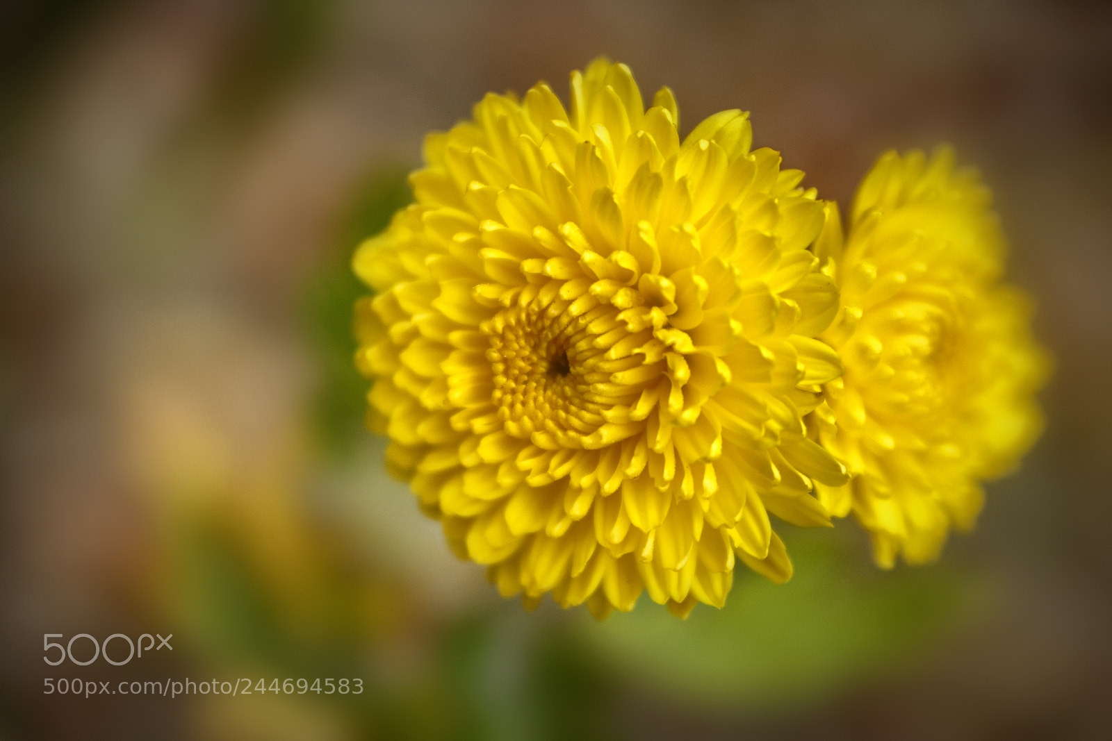 Nikon D90 sample photo. ... photography