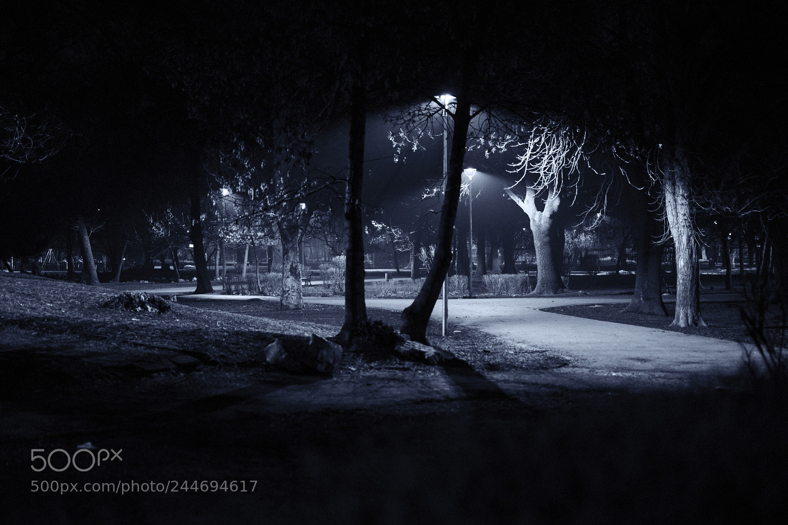 Sony a7 II sample photo. Untitled photography