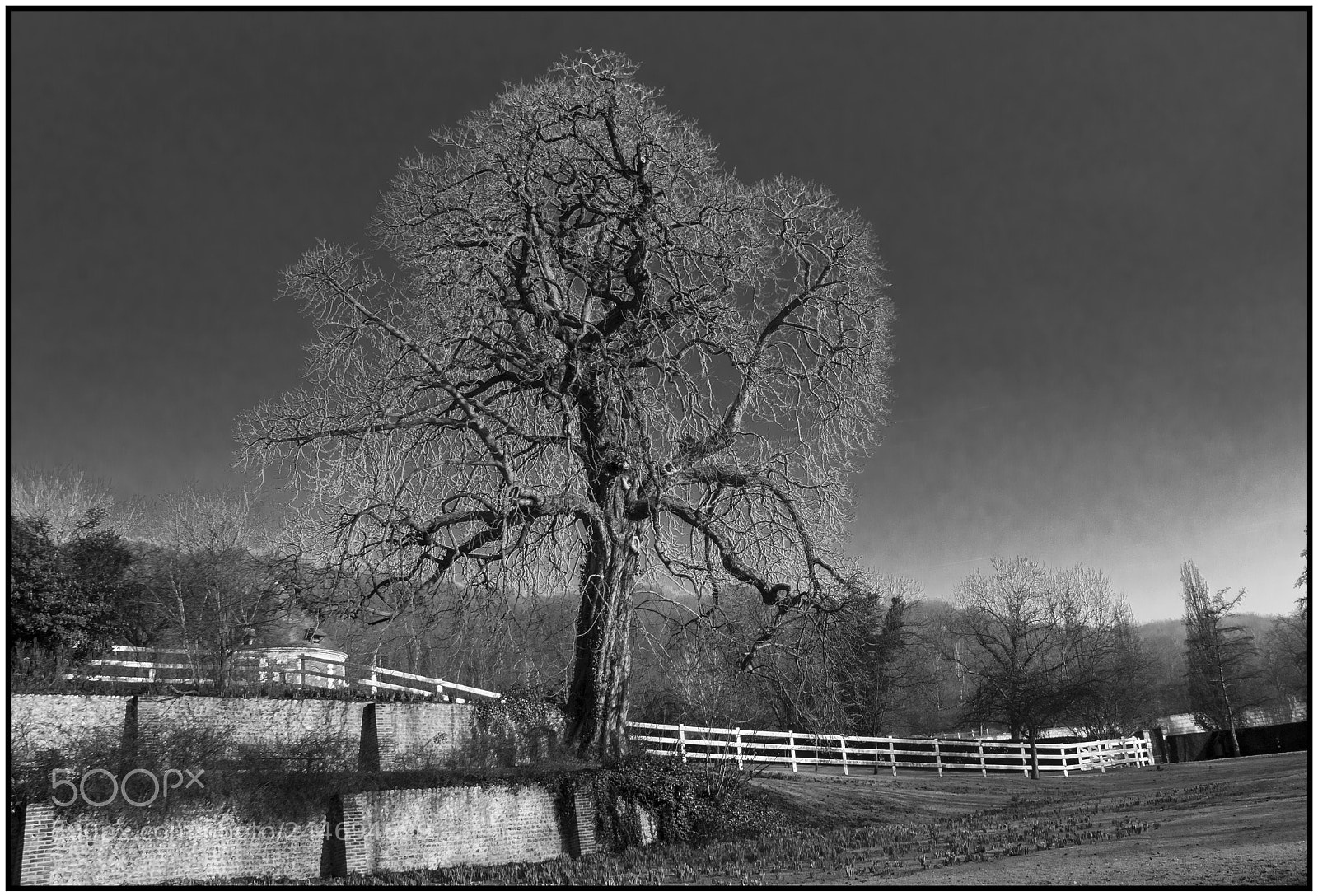 Canon EOS 7D Mark II sample photo. Moody black and white photography