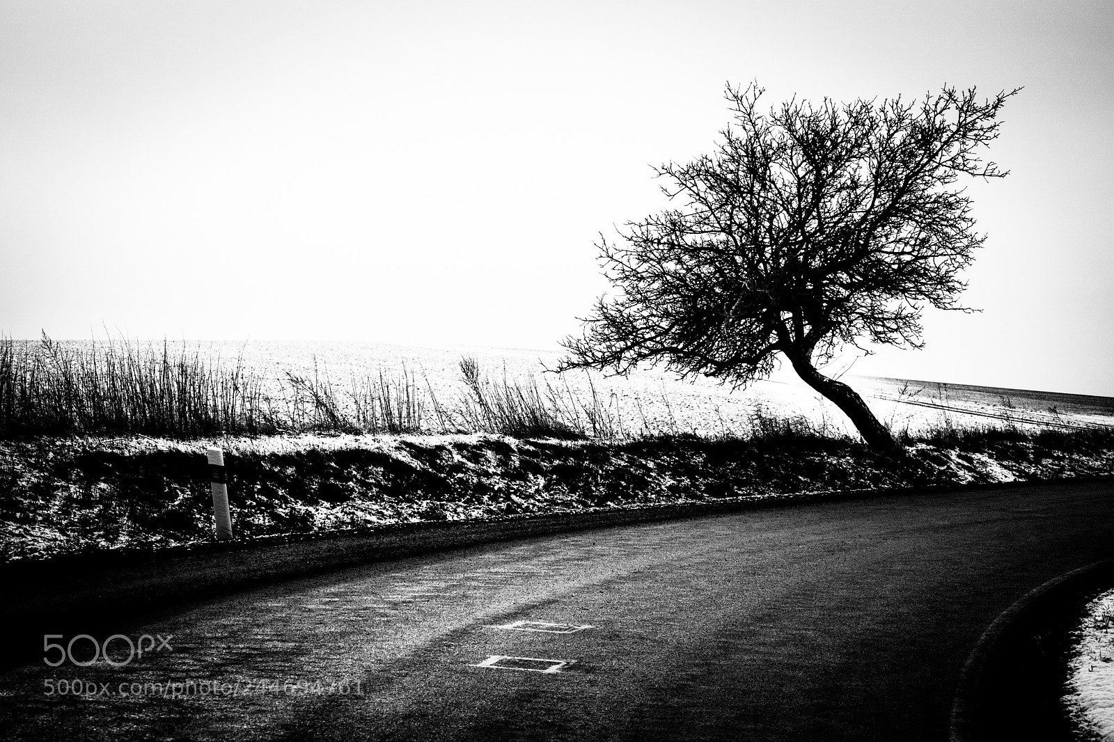Sony ILCA-77M2 sample photo. The curve photography