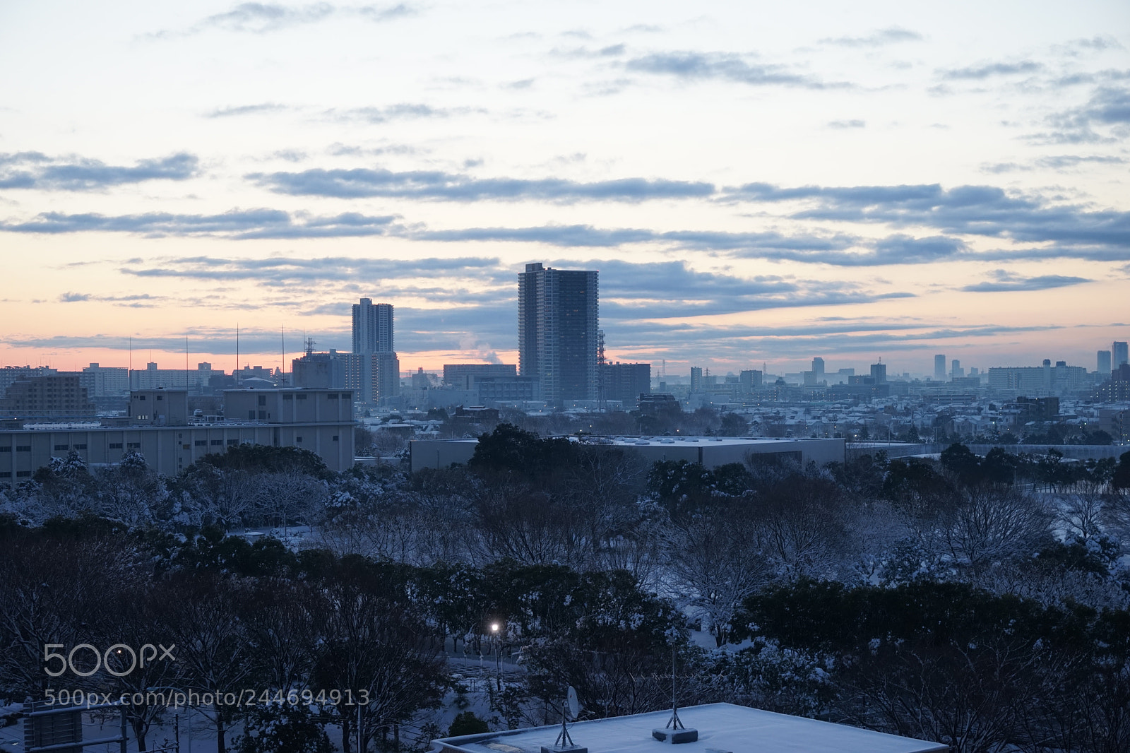 Sony a7 sample photo. The morning after falling photography