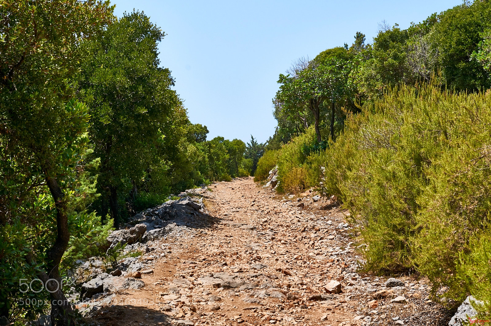 Nikon D300S sample photo. Trail photography
