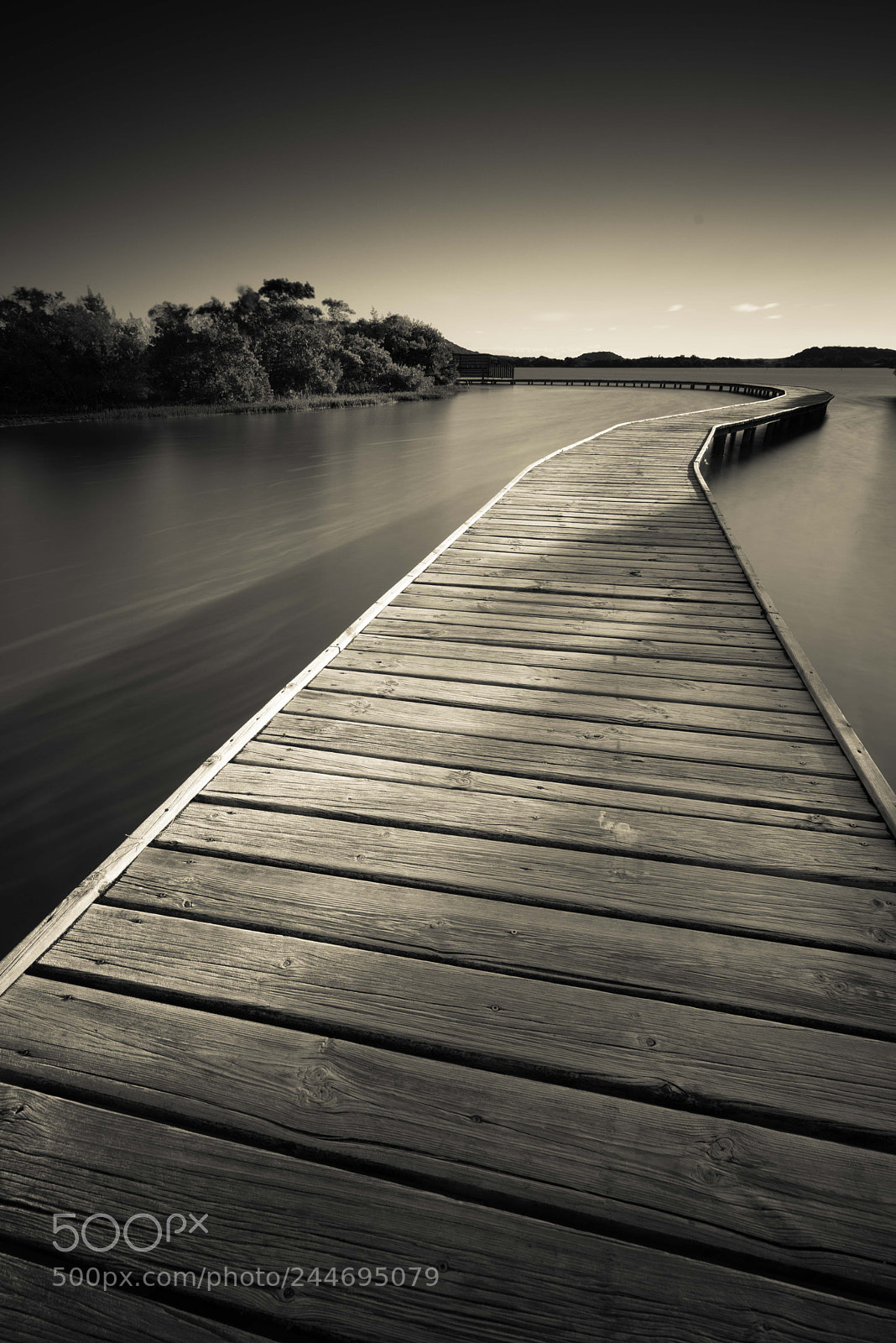 Sony a7R sample photo. Saline photography
