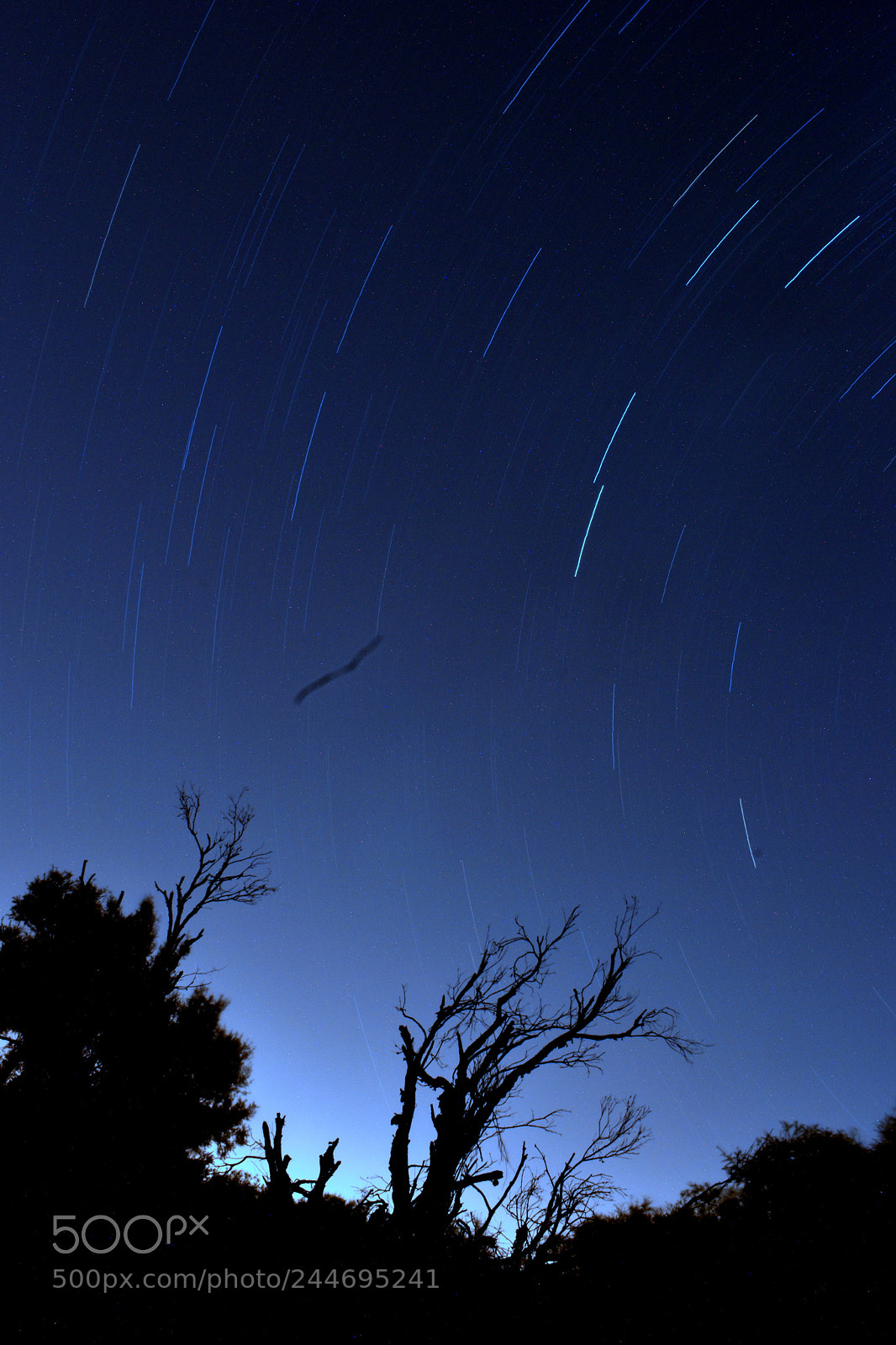 Nikon D5600 sample photo. Twinkle twinkle little stars... photography