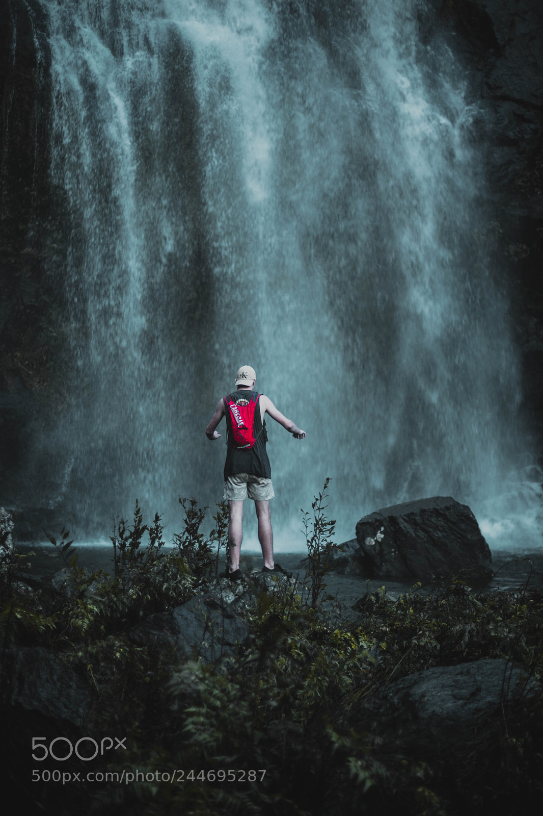 Canon EOS 6D Mark II sample photo. The wet tropics producing photography