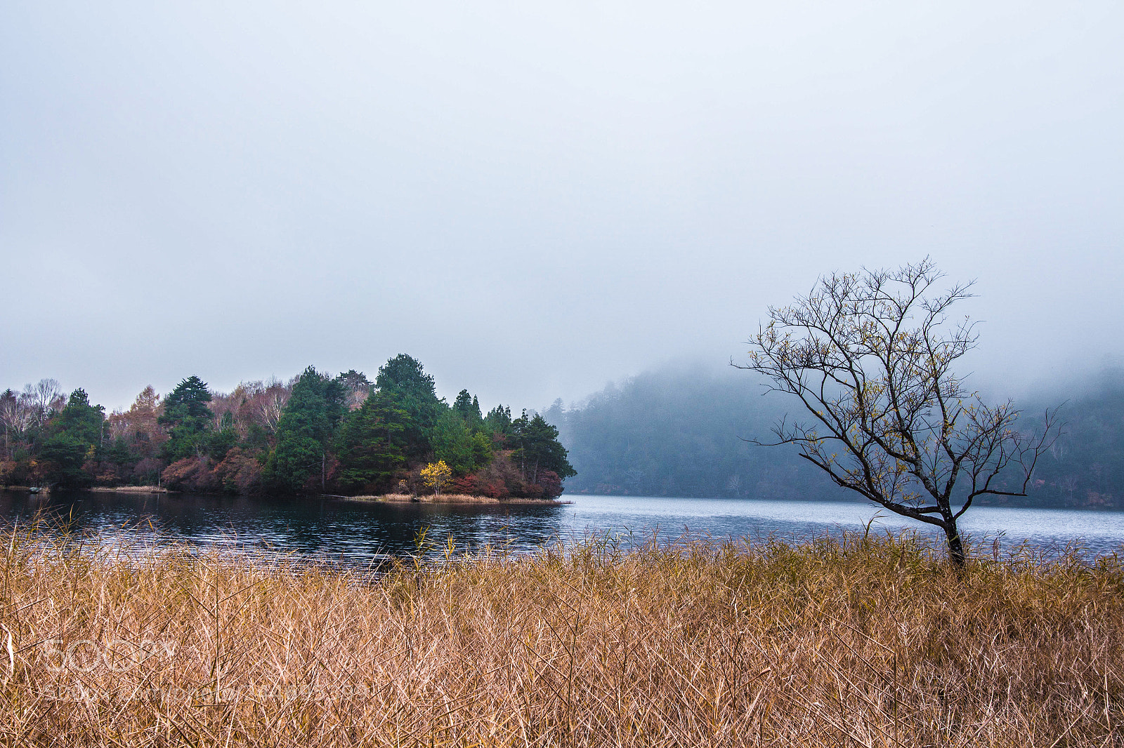 Canon EOS 650D (EOS Rebel T4i / EOS Kiss X6i) sample photo. Yumoto onsen literally origin photography