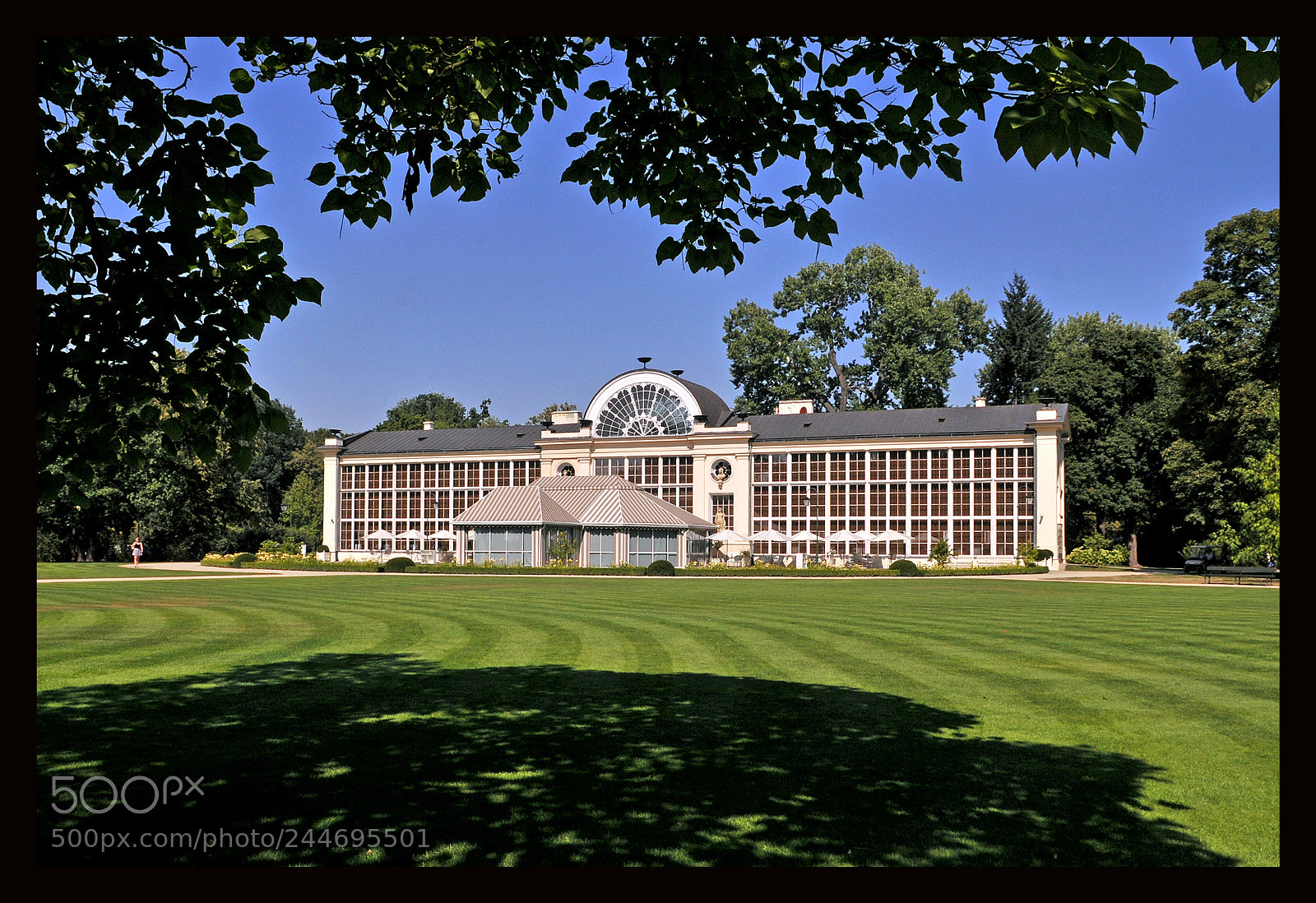 Nikon D300 sample photo. New orangery of warszawa photography