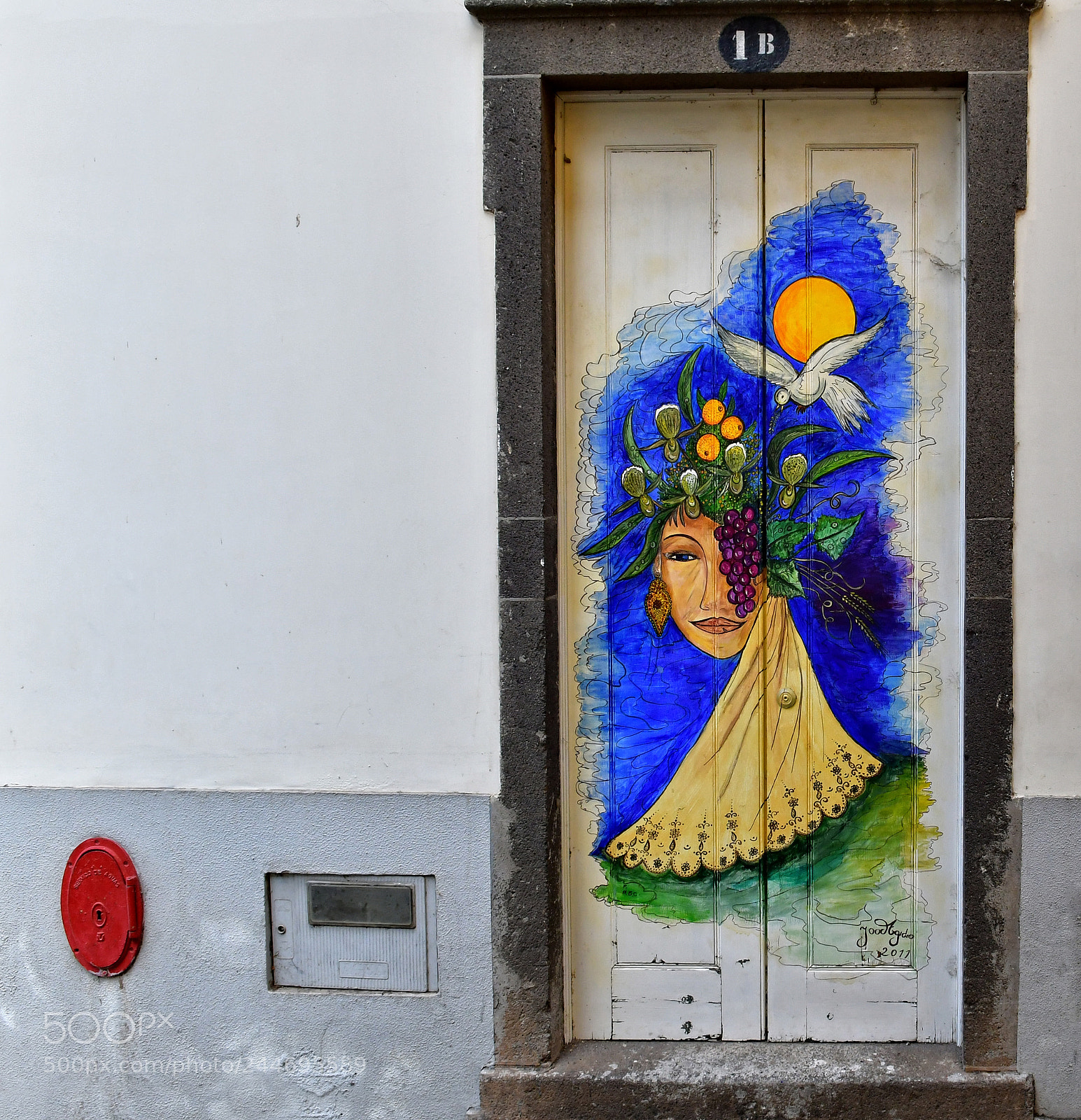 Nikon D500 sample photo. The door photography