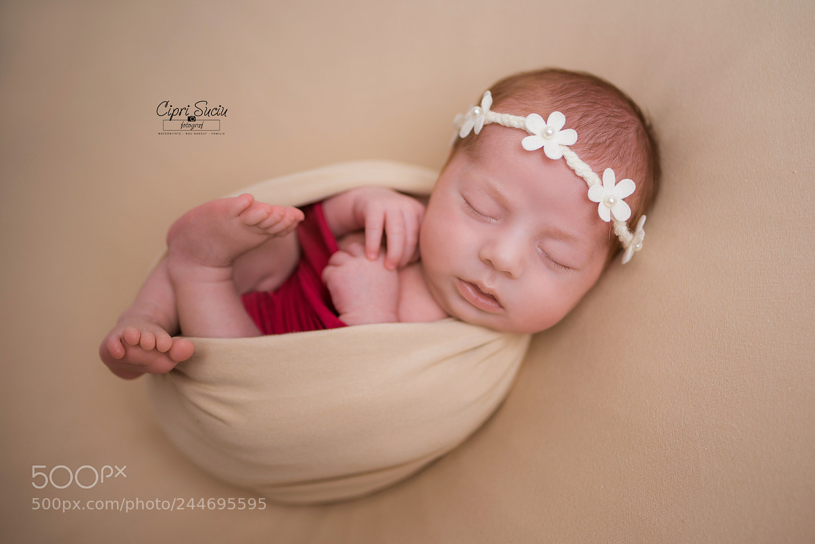 Nikon D810 sample photo. Little thing photography