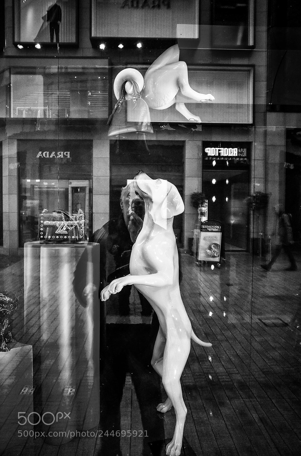 Ricoh GR II sample photo. Images on the run photography