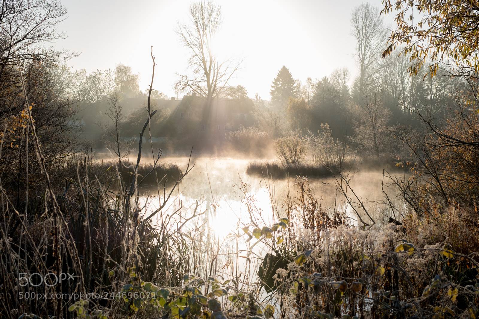 Fujifilm X-T2 sample photo. Nature in denmark photography