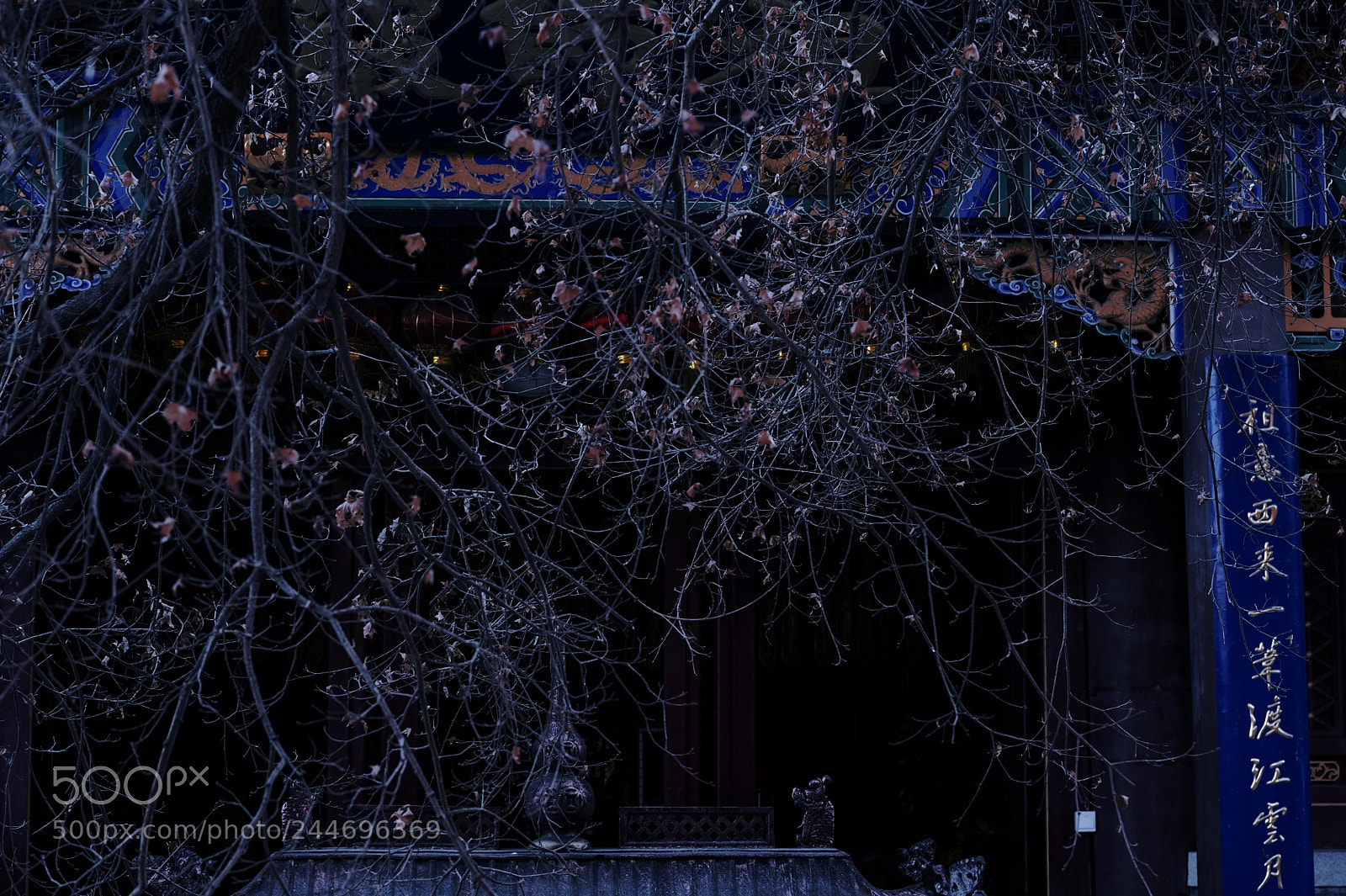 Nikon D700 sample photo. 明月禅寺 photography