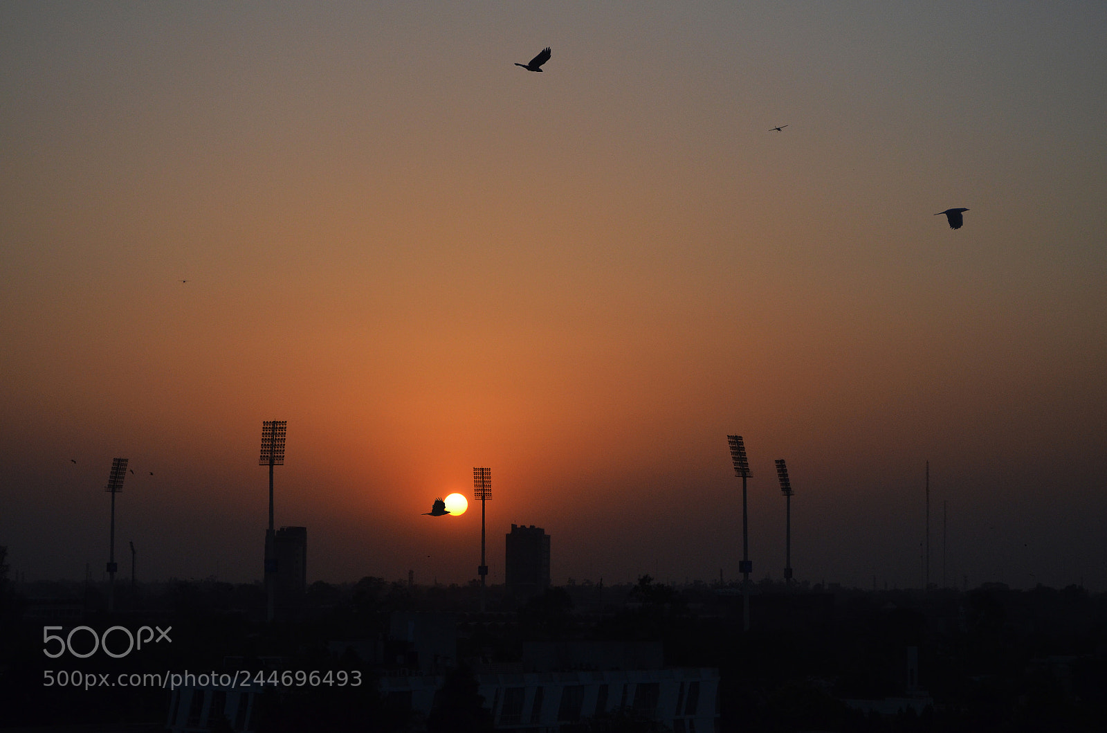 Nikon D5100 sample photo. Sun kiss photography