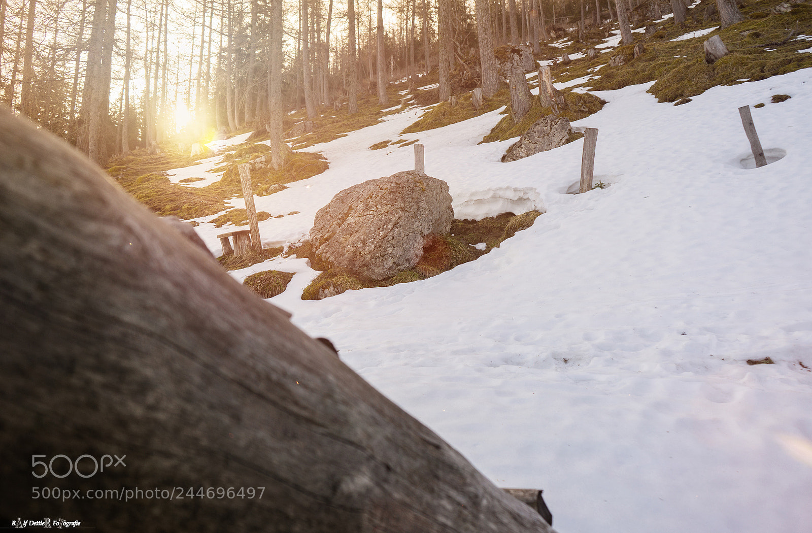 Sony a7 II sample photo. Berchtesgadener wald photography