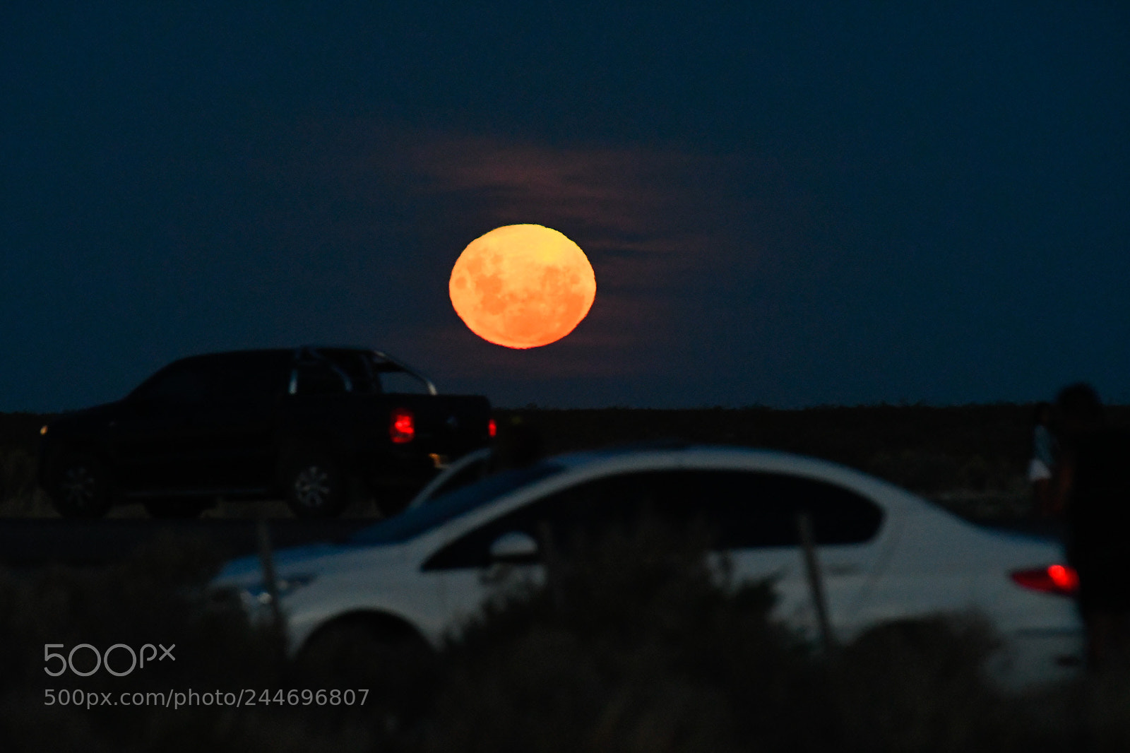 Nikon D500 sample photo. Blue moon from argentina photography