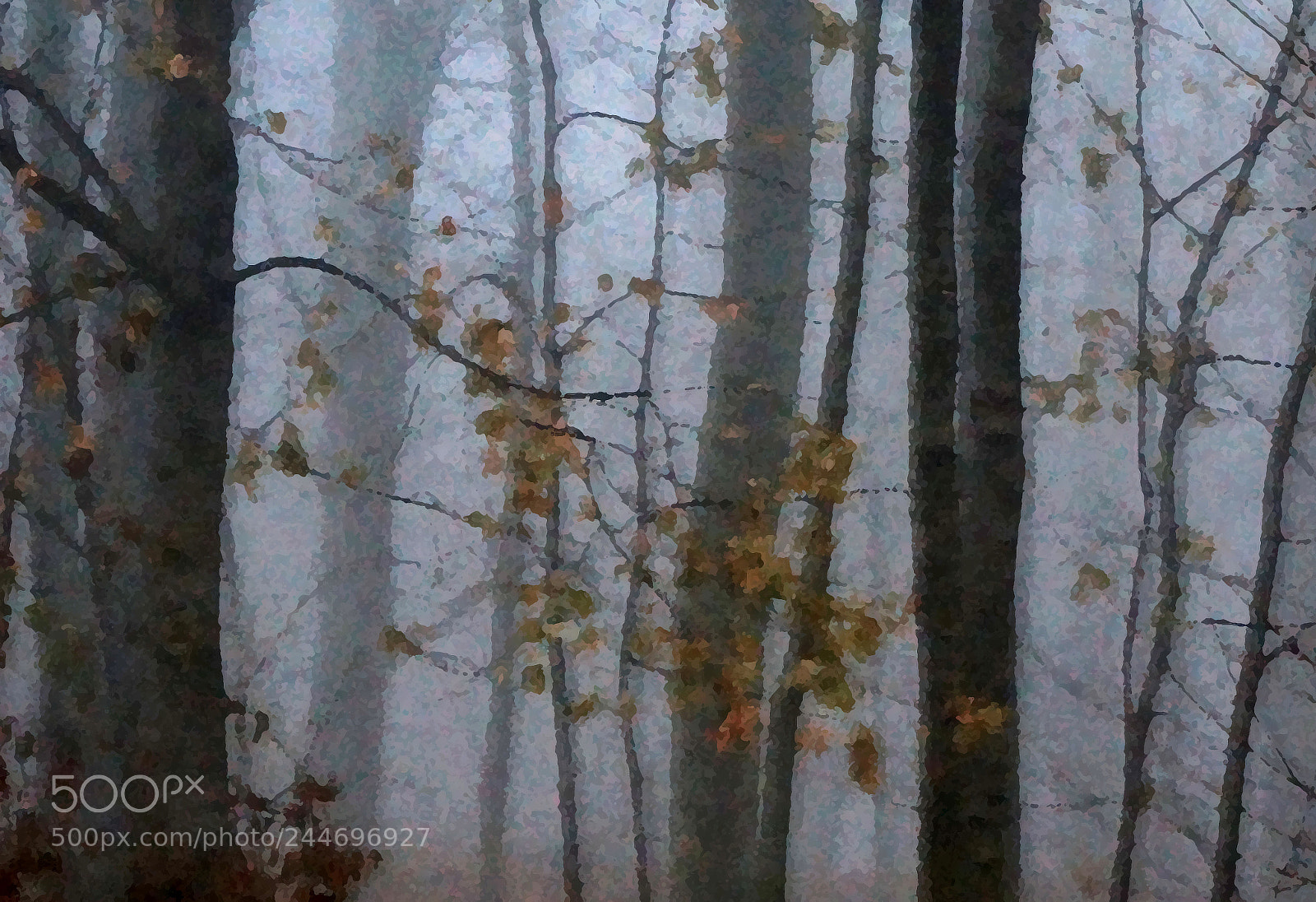 Sony Alpha NEX-6 sample photo. Fog 1 photography