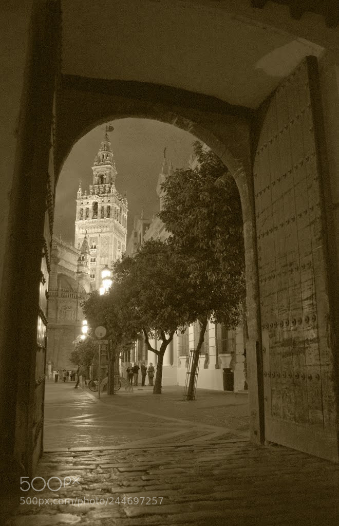 Nikon D3100 sample photo. La giralda sepia photography