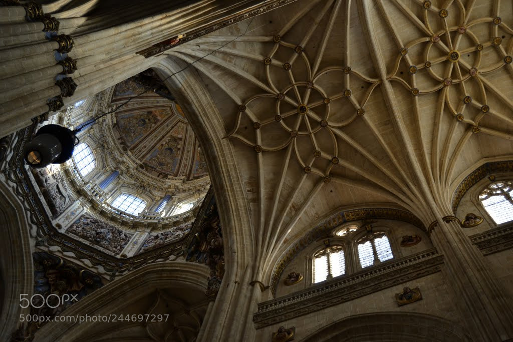 Nikon D3100 sample photo. Catedral de salamanca photography