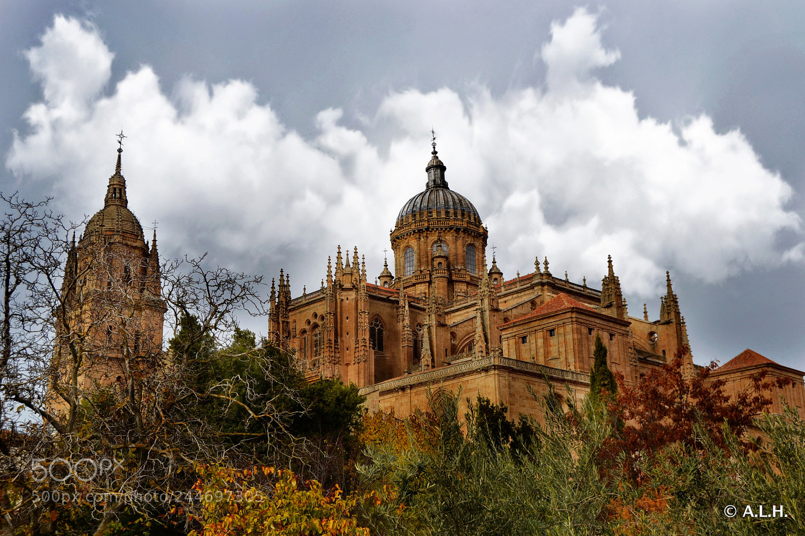 Nikon D3100 sample photo. Catedral de salamanca photography