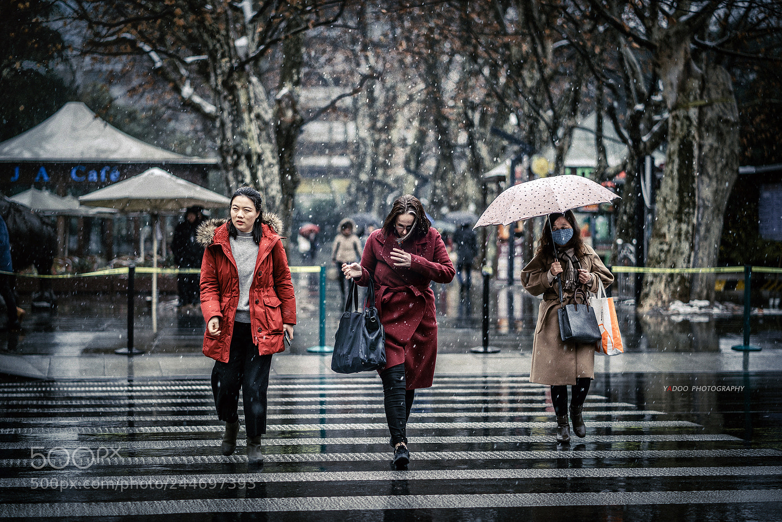Sony a7R II sample photo. Shanghai  heavy snow photography