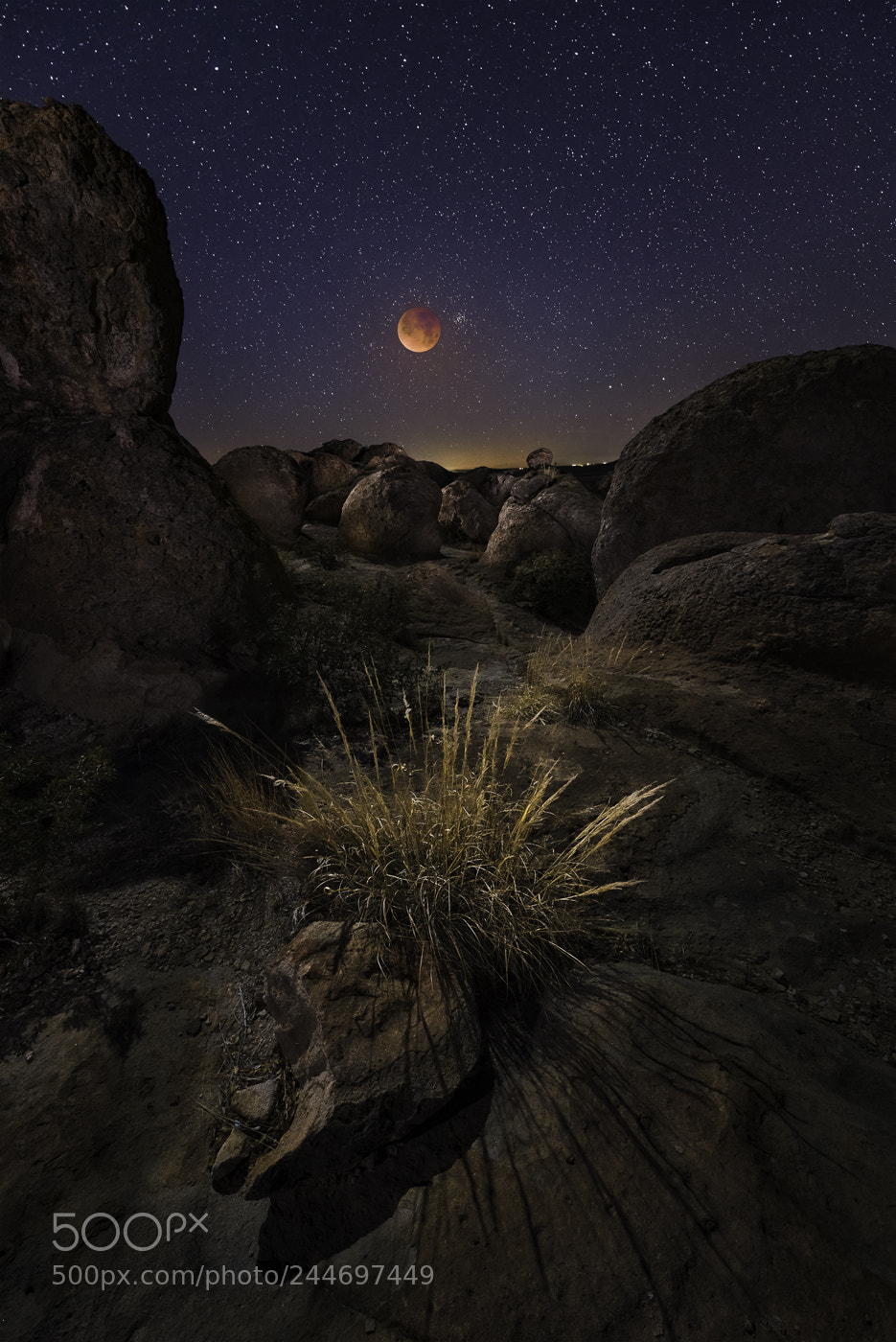 Nikon D850 sample photo. Super blue blood moon photography