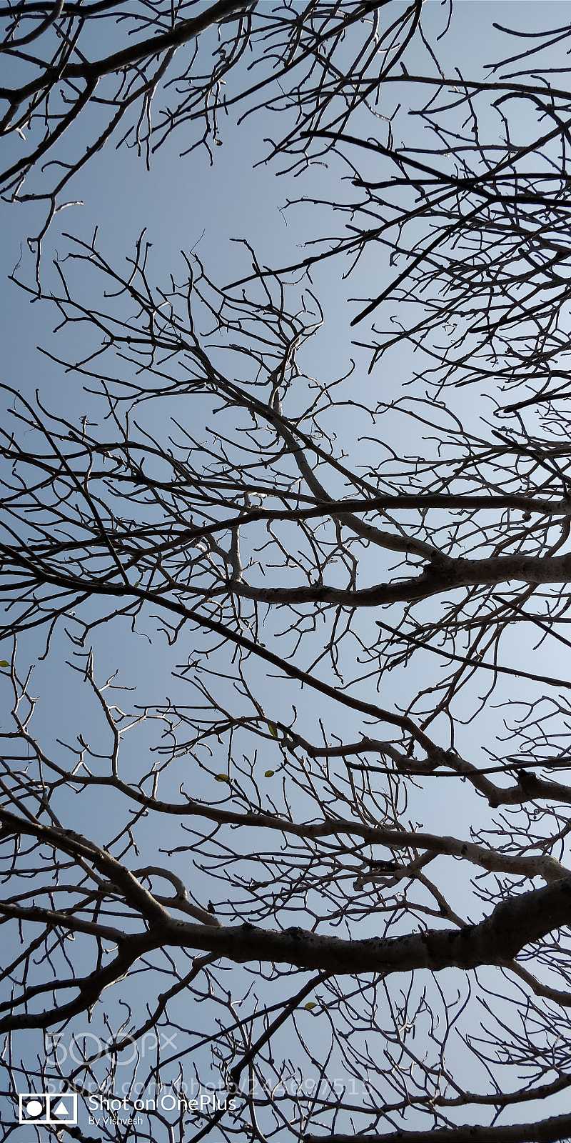 OnePlus 5T sample photo. Untitled photography