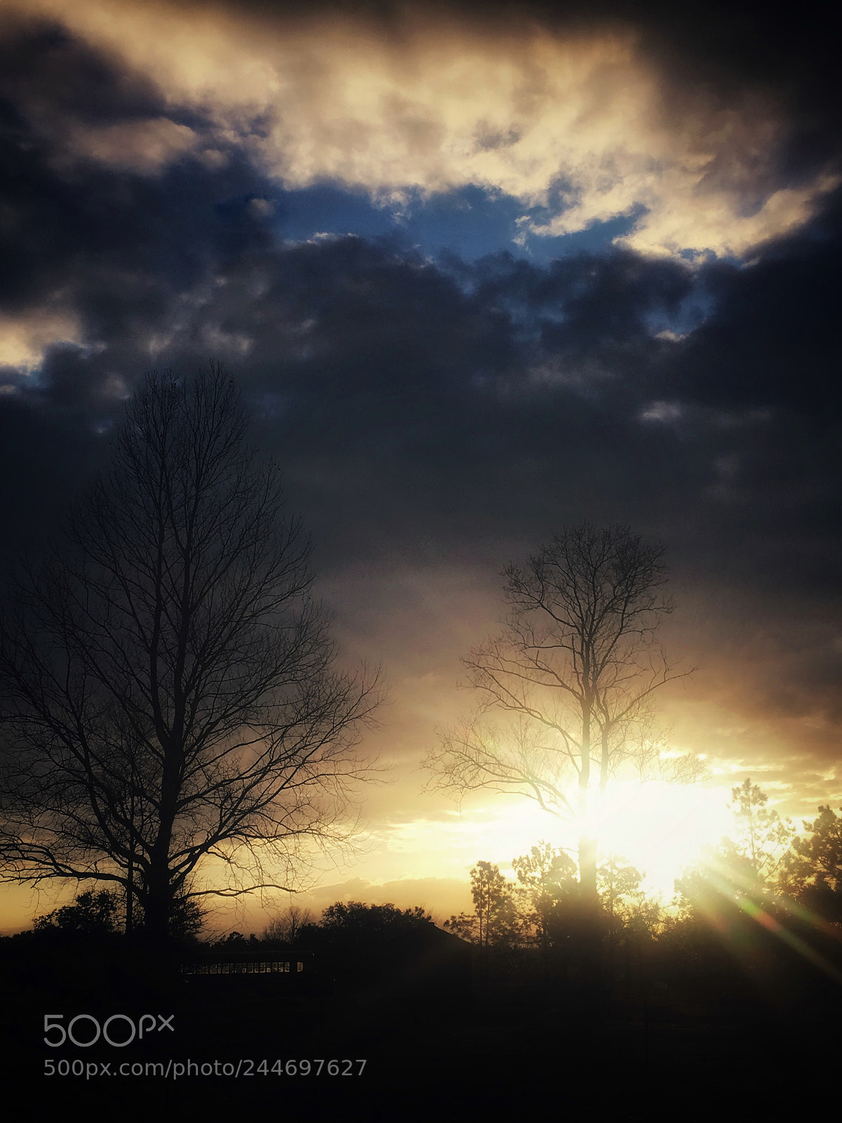 Apple iPhone 6s Plus sample photo. Mayo, fl kinda sunrise photography
