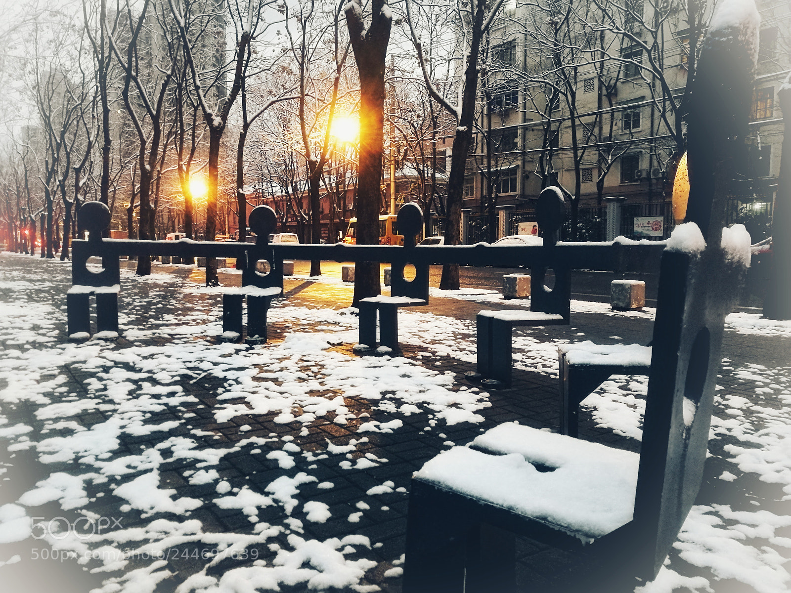 HUAWEI P9 sample photo. Snow photography