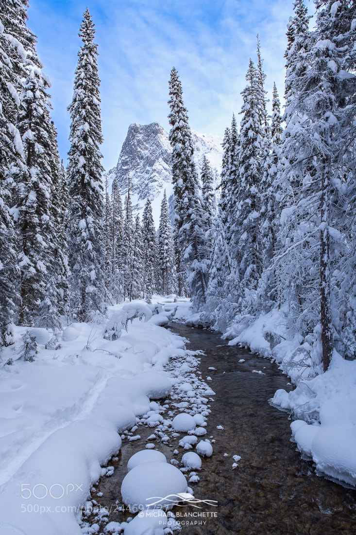 Nikon D850 sample photo. Mountain wonderland photography