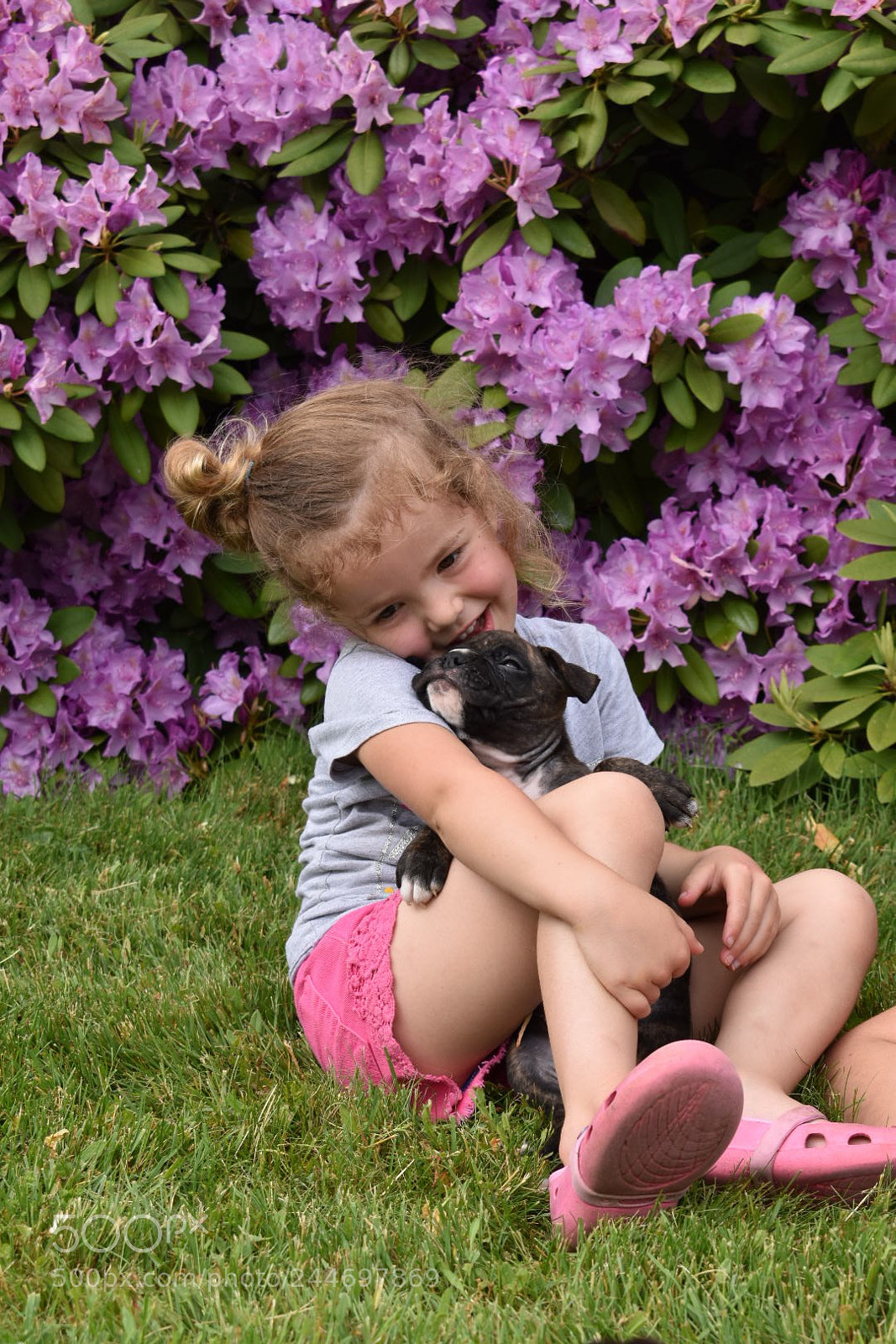 Nikon D5500 sample photo. Puppy play time photography
