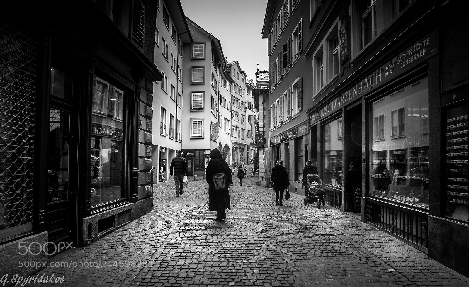 Nikon D700 sample photo. Luzern in b/w photography