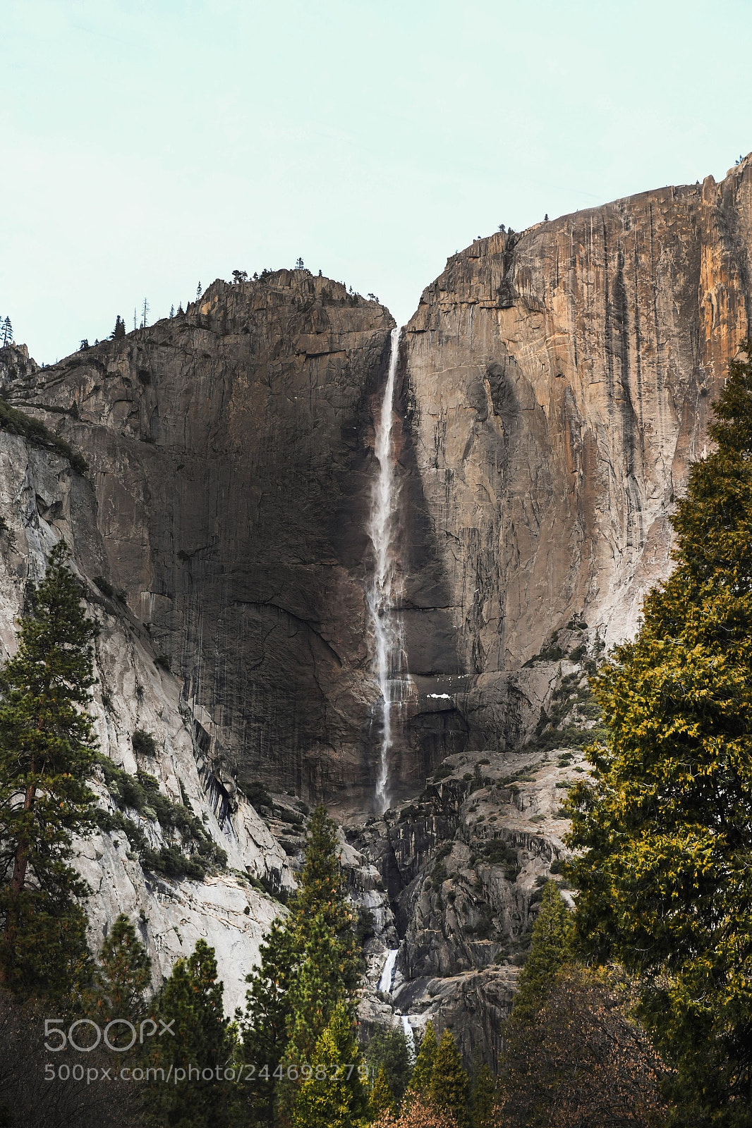 Nikon D5 sample photo. Yosemite national park, california photography
