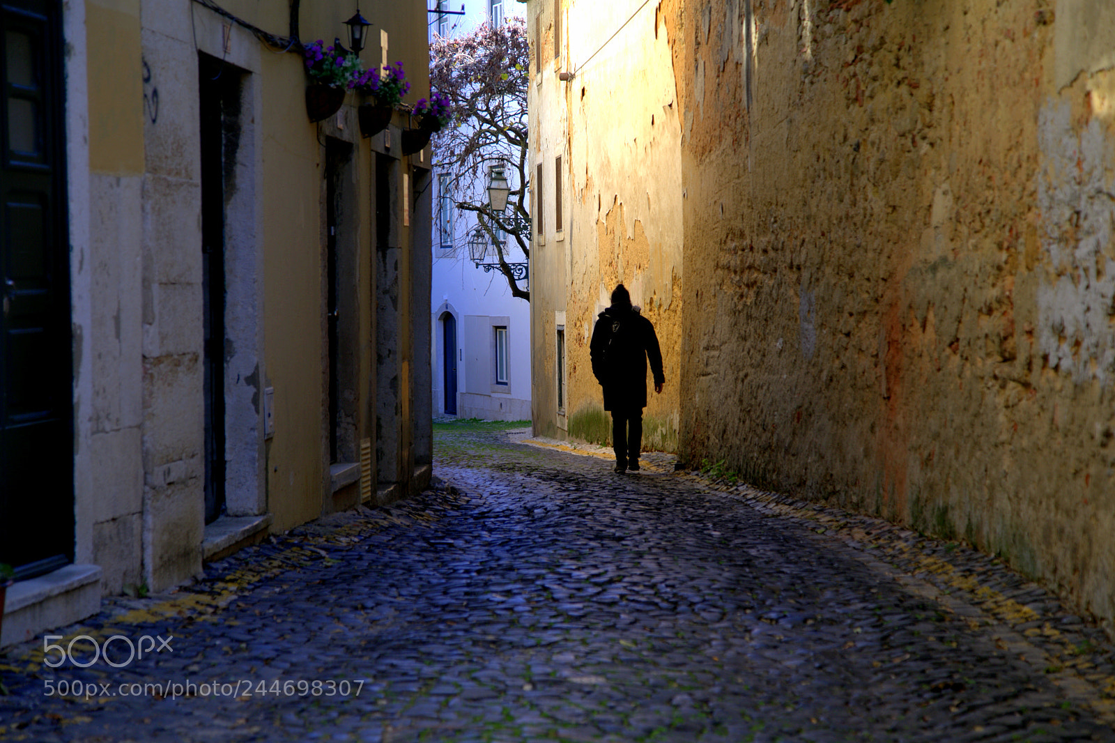 Canon EOS 6D + Canon EF 24-105mm F4L IS USM sample photo. Alley photography