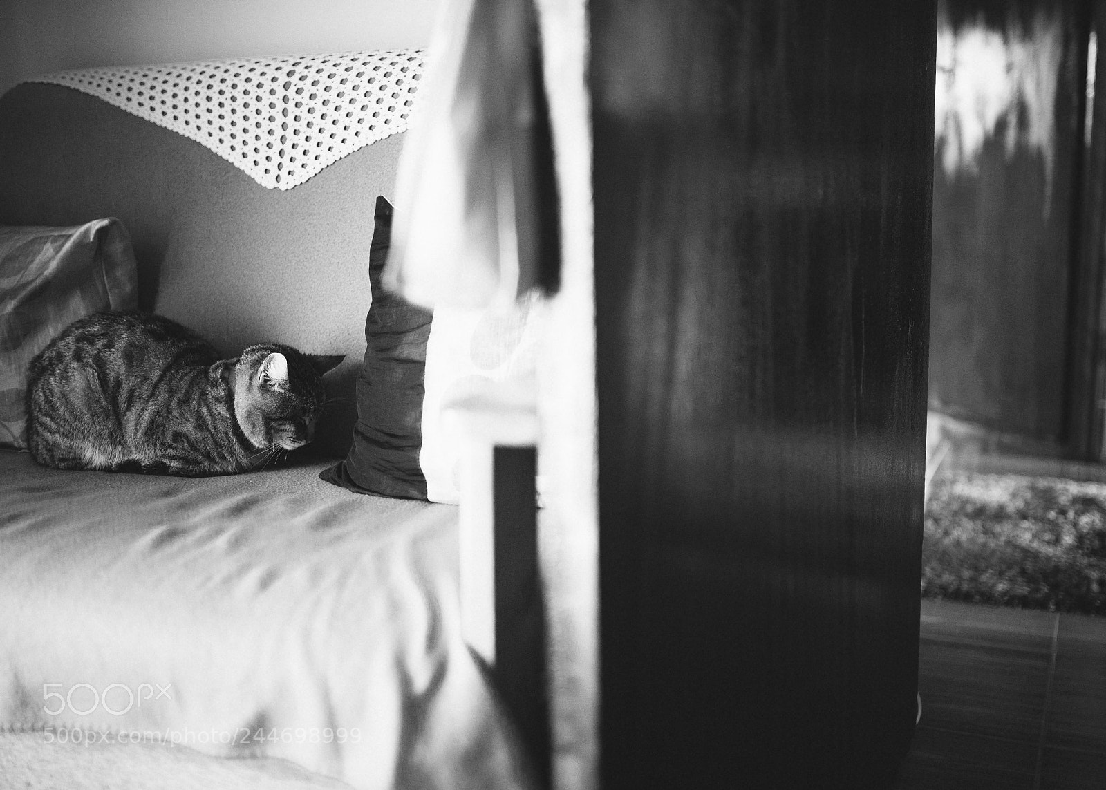 Nikon D610 sample photo. Untitled photography