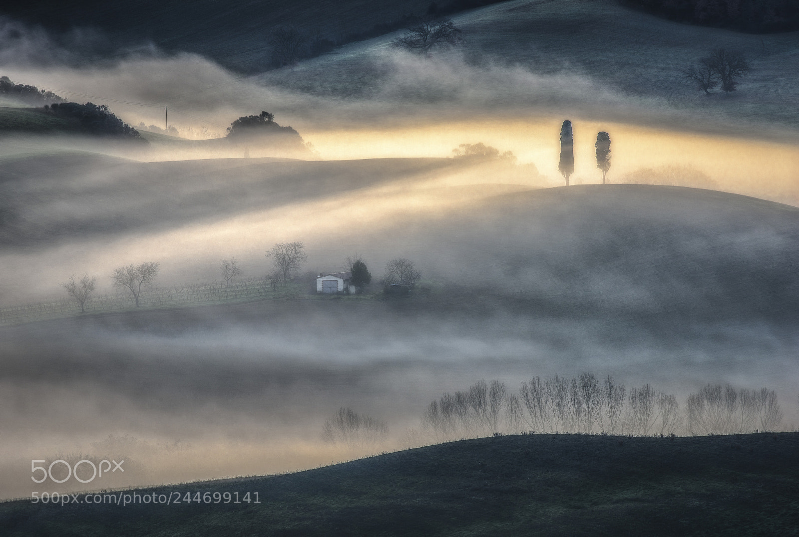 Nikon D810 sample photo. Sunrise penetration photography