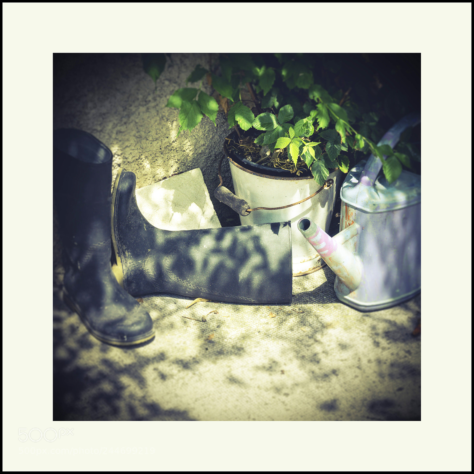 Leica D-Lux (Typ 109) sample photo. Gardener's still-life photography