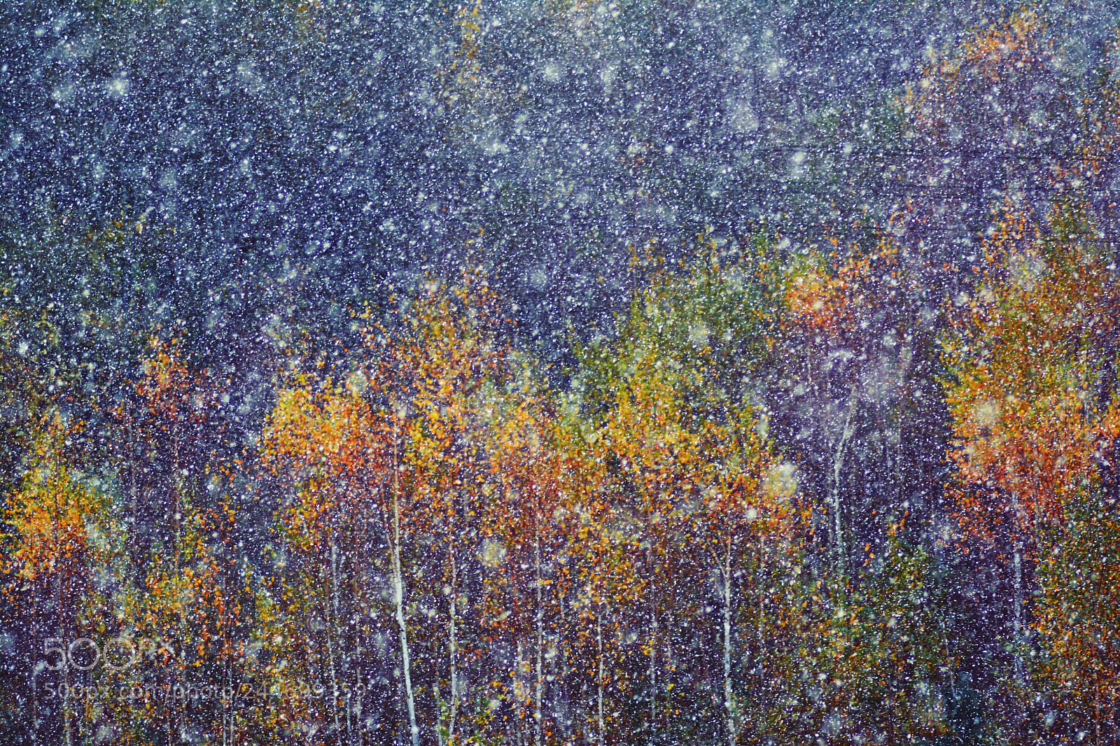 Nikon D7100 sample photo. The first snow. impression photography