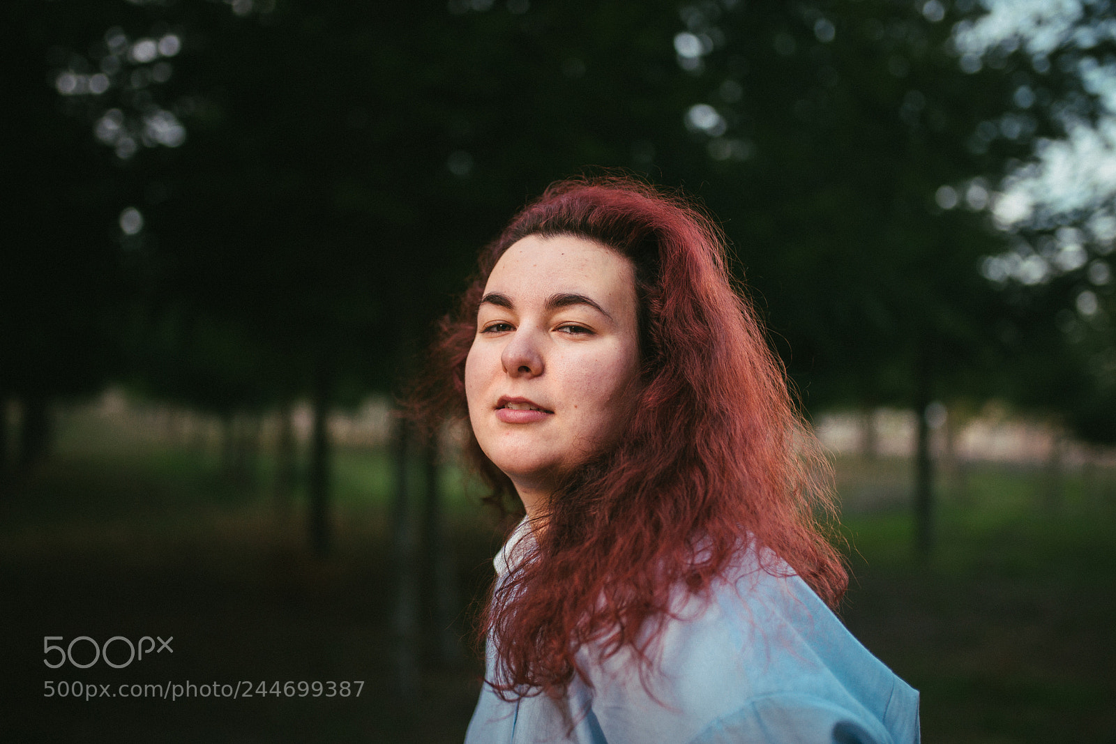Nikon D610 sample photo. Untitled photography
