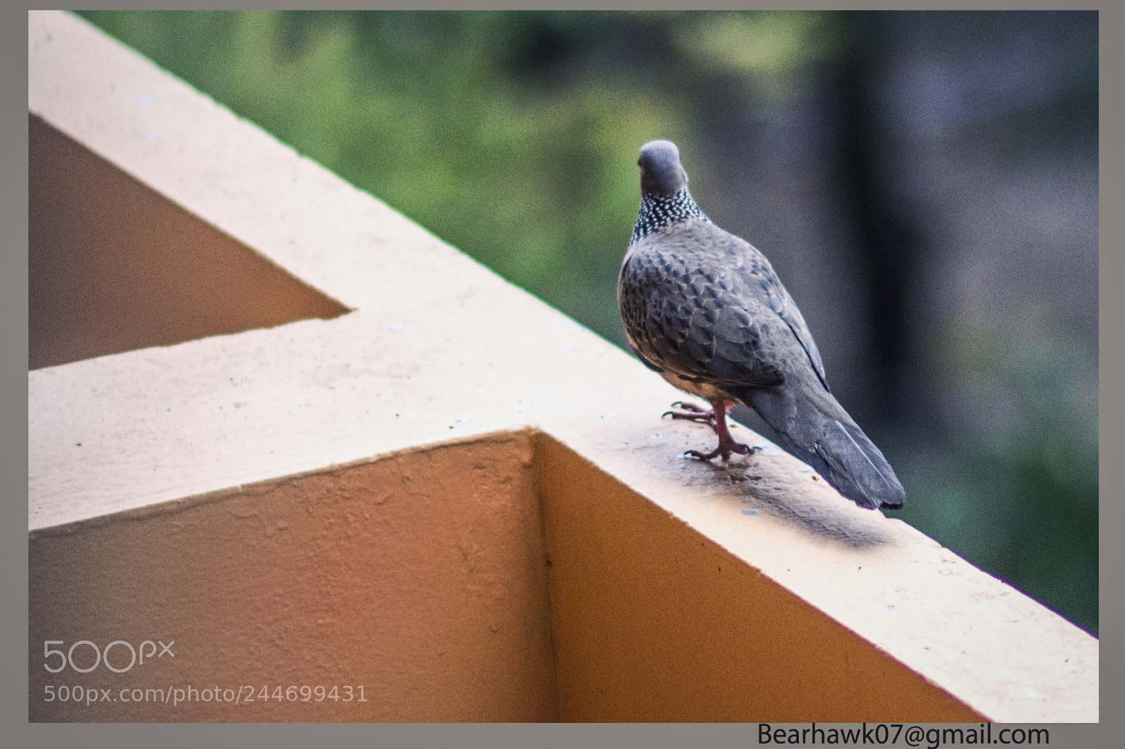 Nikon D7200 sample photo. 026.jpg photography