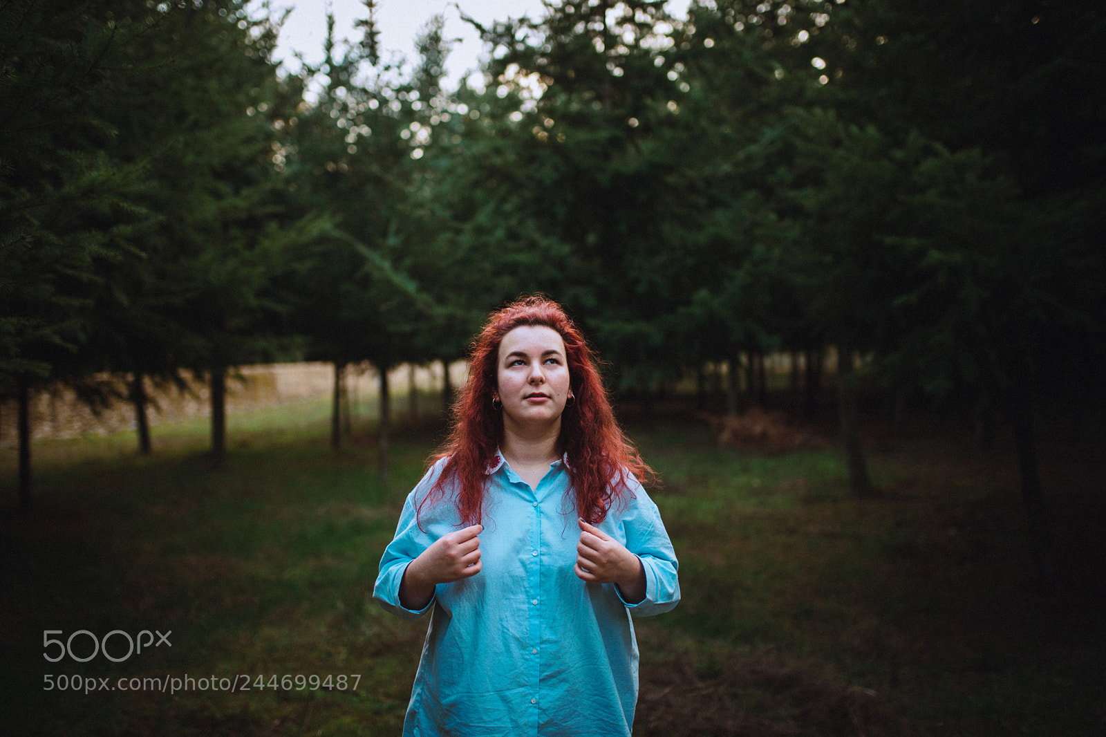 Nikon D610 sample photo. Untitled photography